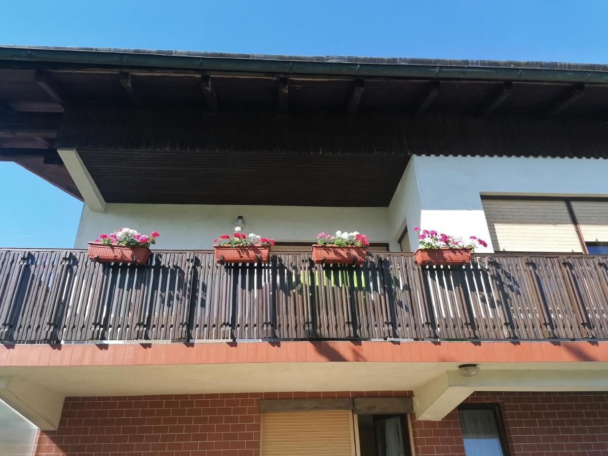 Apartments Novak Ljubno Ngoại thất bức ảnh