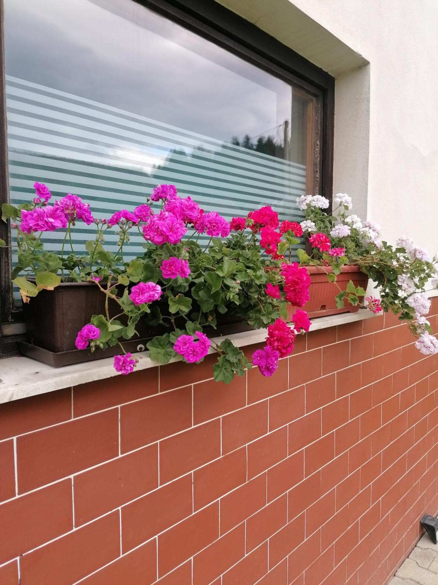 Apartments Novak Ljubno Ngoại thất bức ảnh