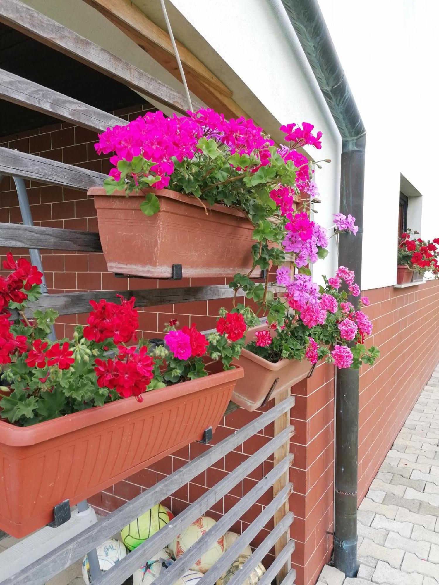 Apartments Novak Ljubno Ngoại thất bức ảnh